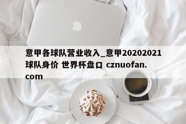 意甲各球队营业收入_意甲20202021球队身价 世界杯盘口 cznuofan.com